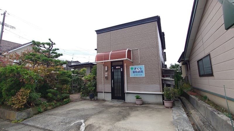 さくら動物病院