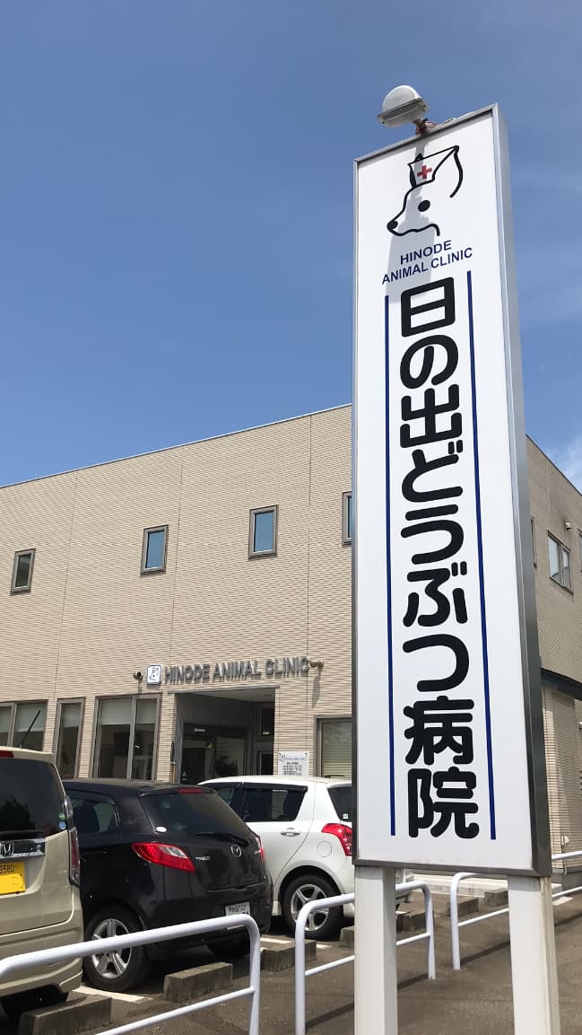 日の出動物病院