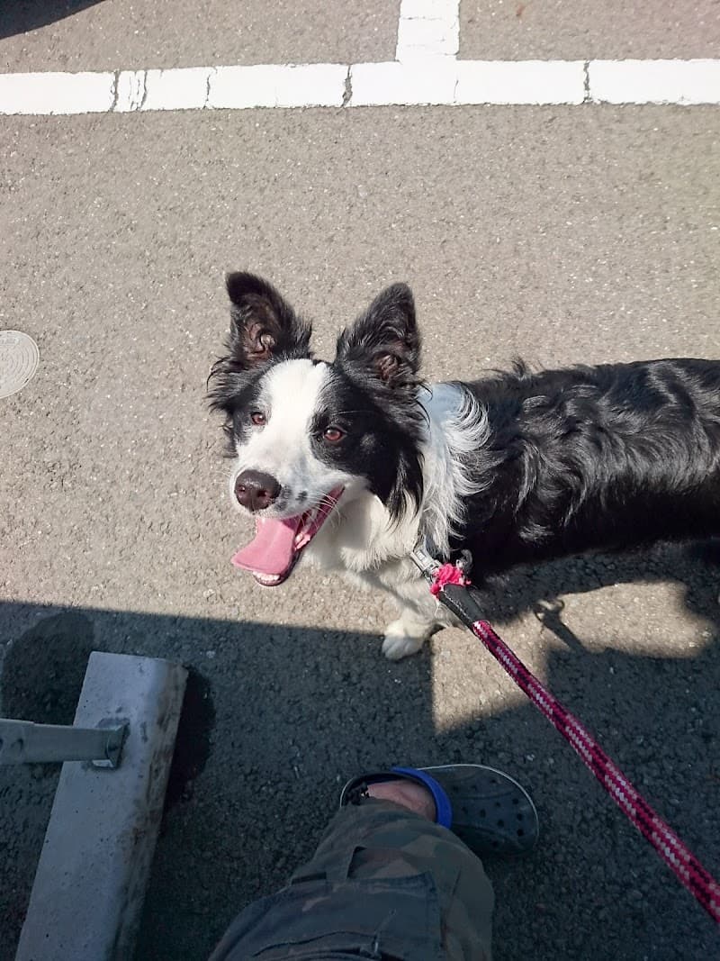 かおる動物病院