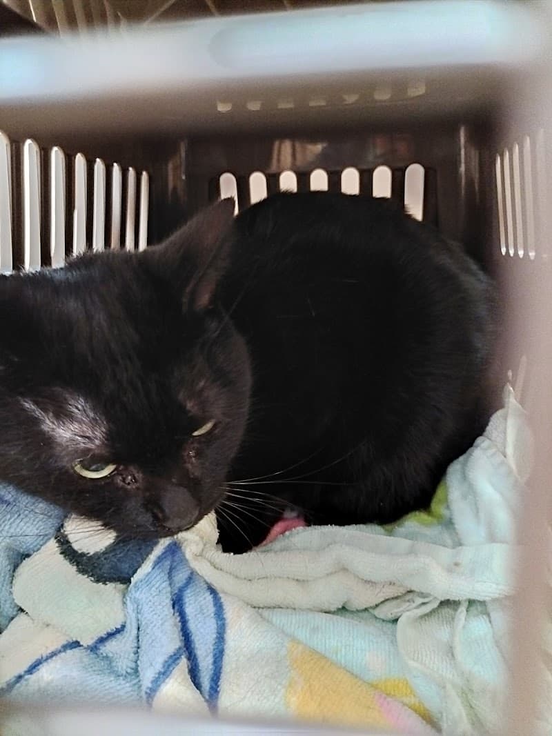 御所野どうぶつ病院