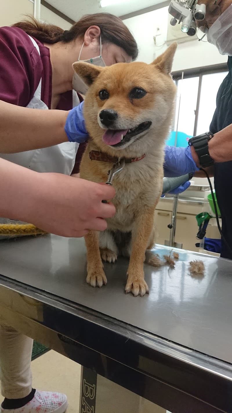 ながい動物病院