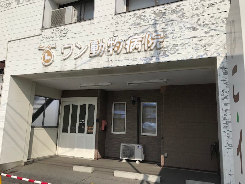 ワン動物病院