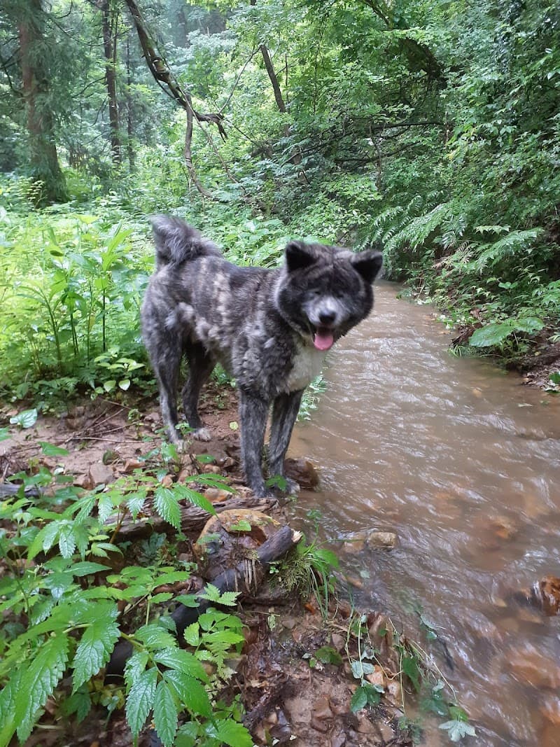 ヒール動物病院