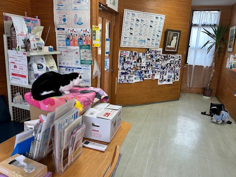 こあら総合動物病院