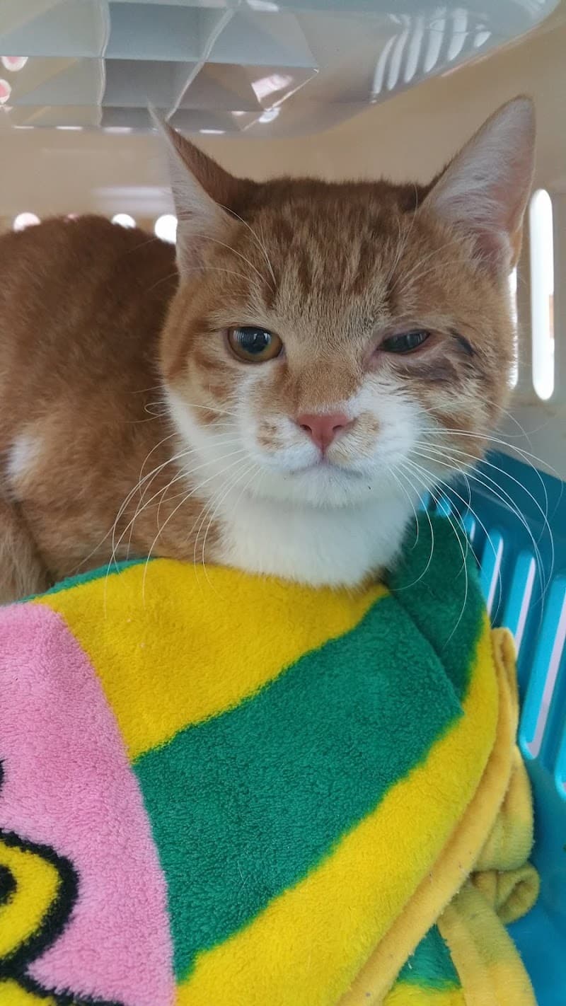 ペットクリニック山科