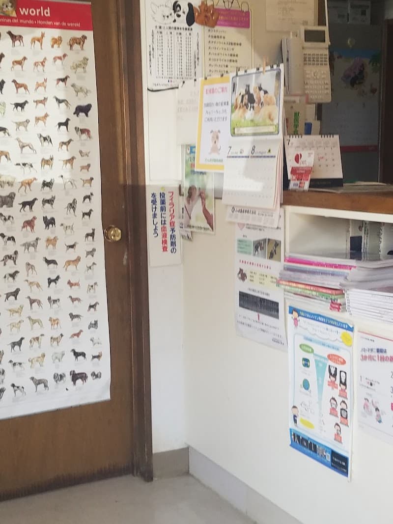 たんぽぽ動物病院