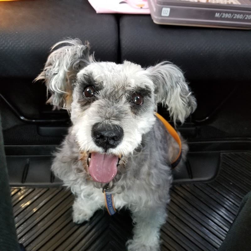 とも犬猫クリニック