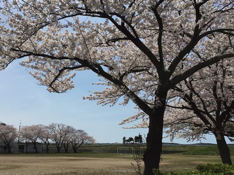かもめ動物クリニック