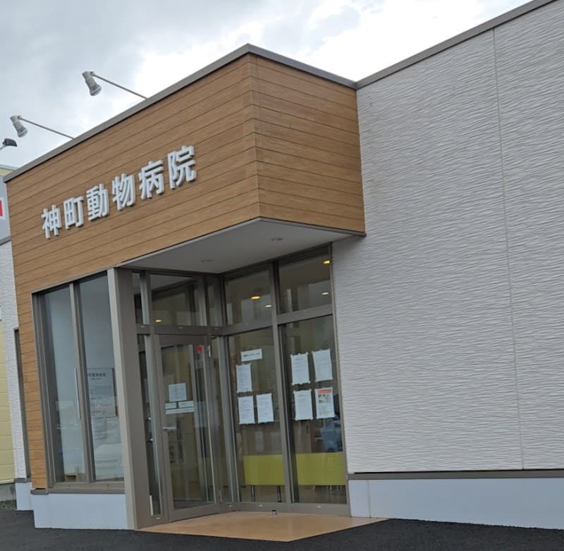 神町動物病院