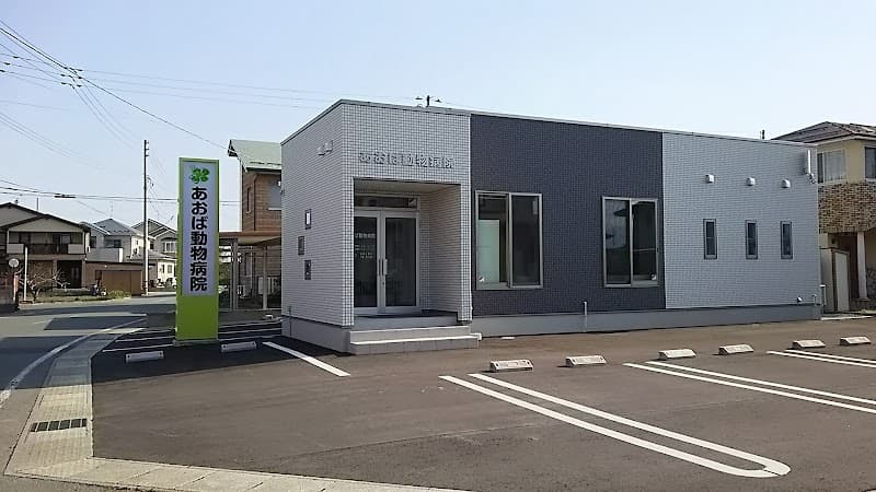 あおば動物病院