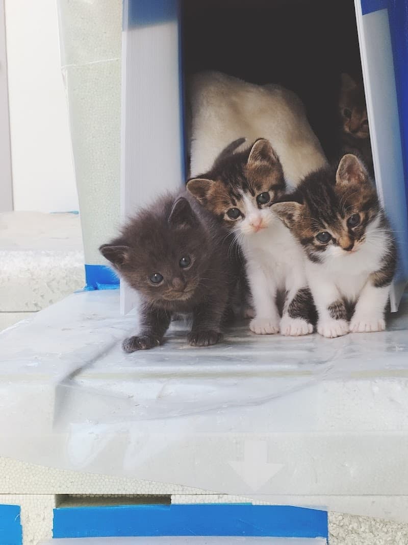 ぽぴんず動物病院