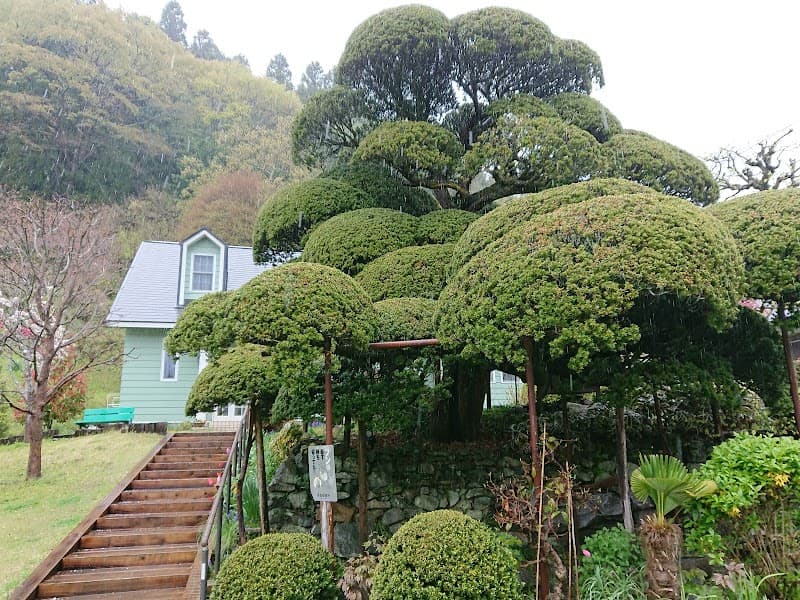 きゃらどうぶつクリニック