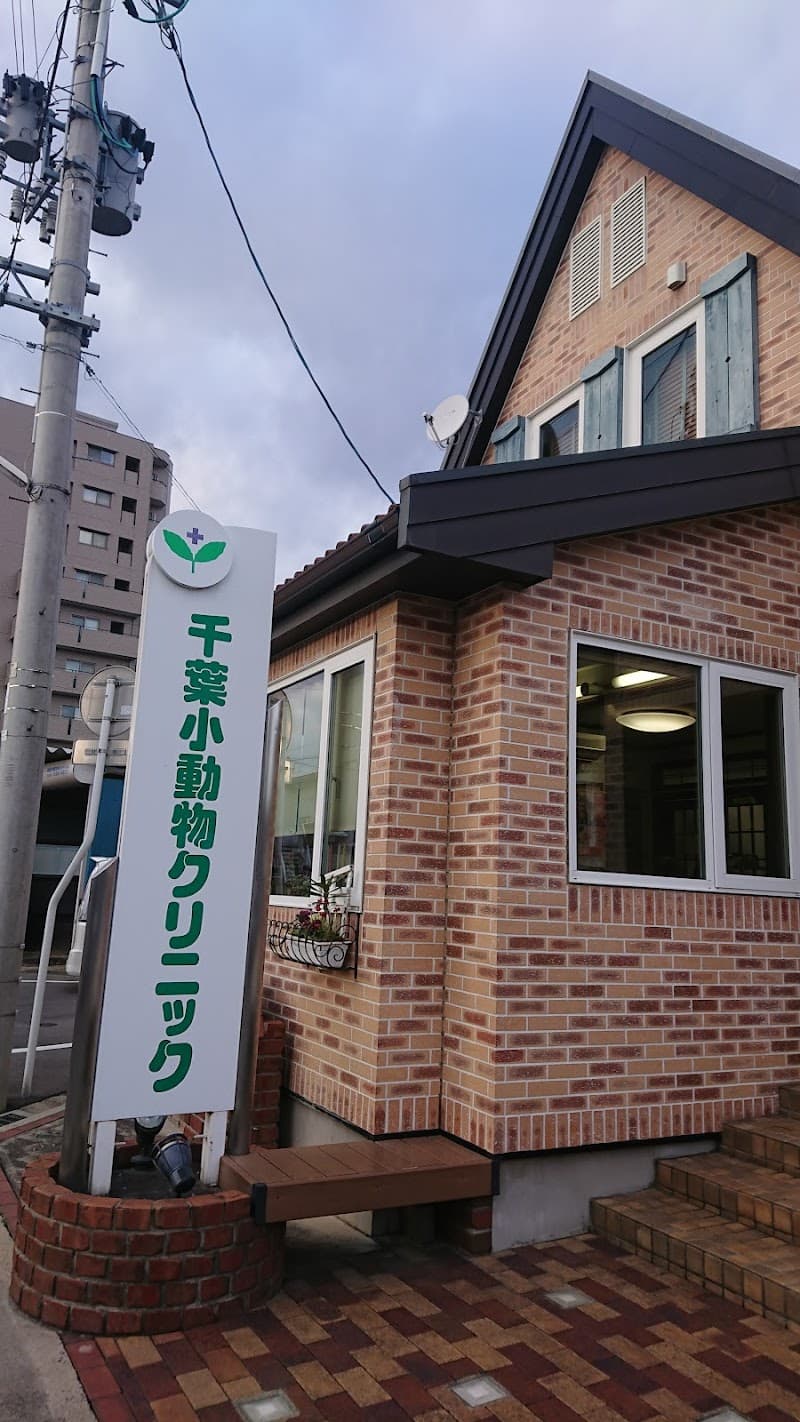 千葉小動物クリニック