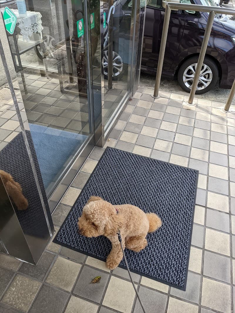 吉田獣医科医院