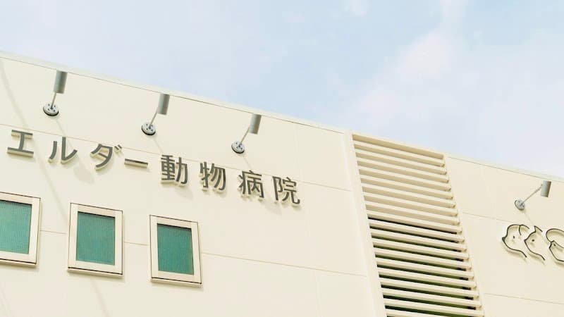 阿千輪鉦利獣医科医院