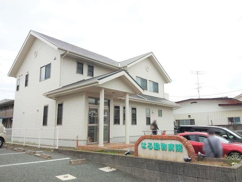 大和田獣医科医院