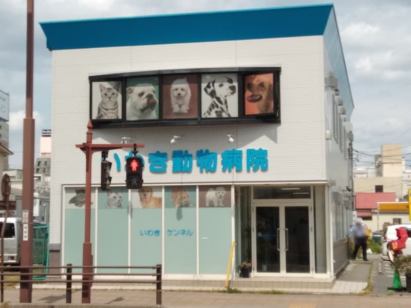 いわき動物病院