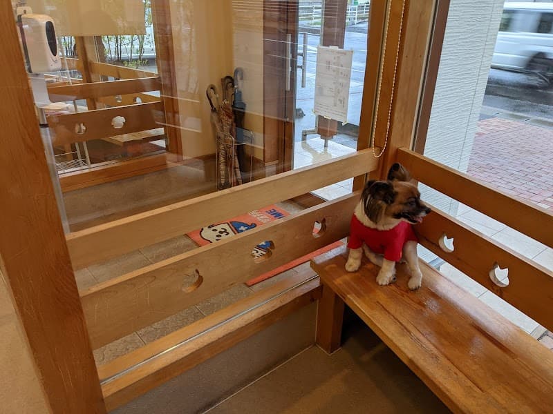 どんぐり動物病院