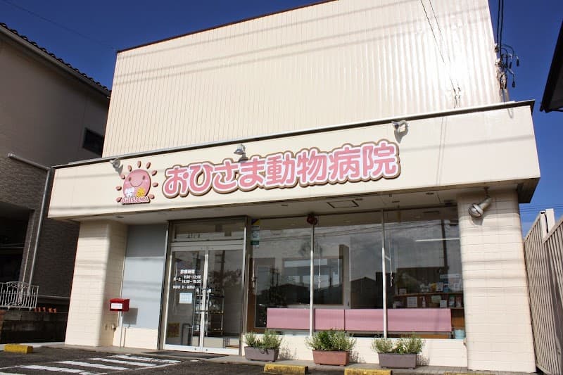 おひさま動物病院