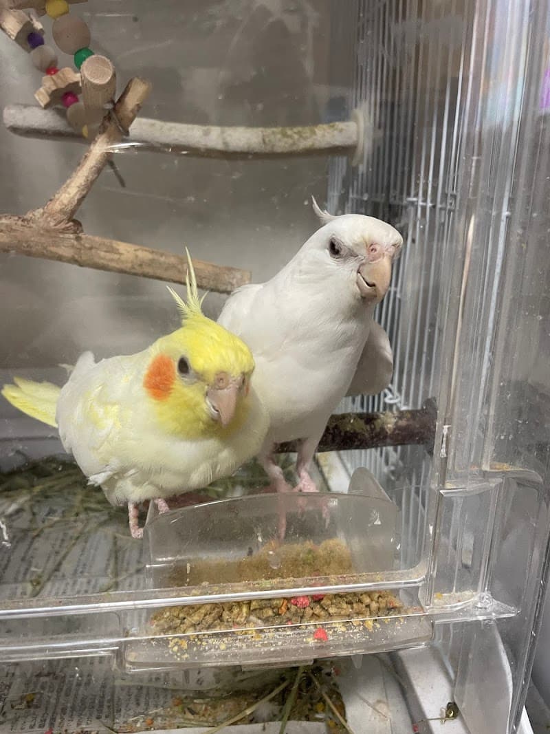 ポラリス動物病院