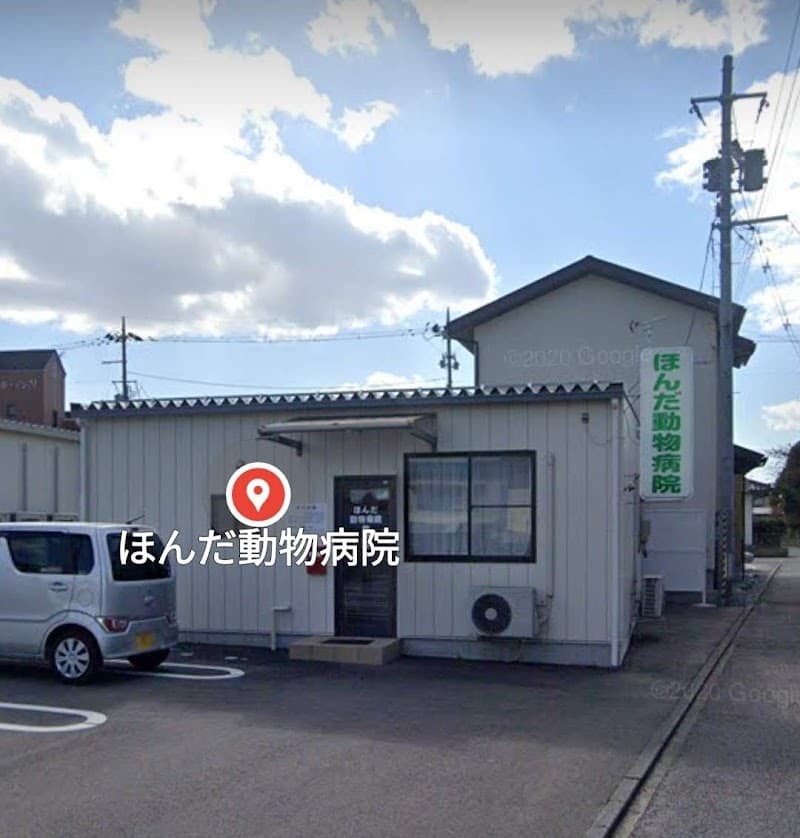 ほんだ動物病院