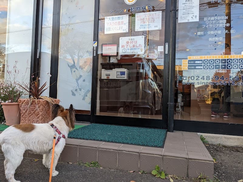 シンシア動物病院