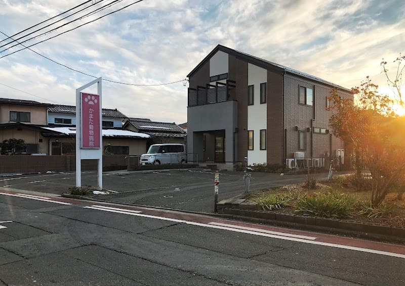 かまた動物病院