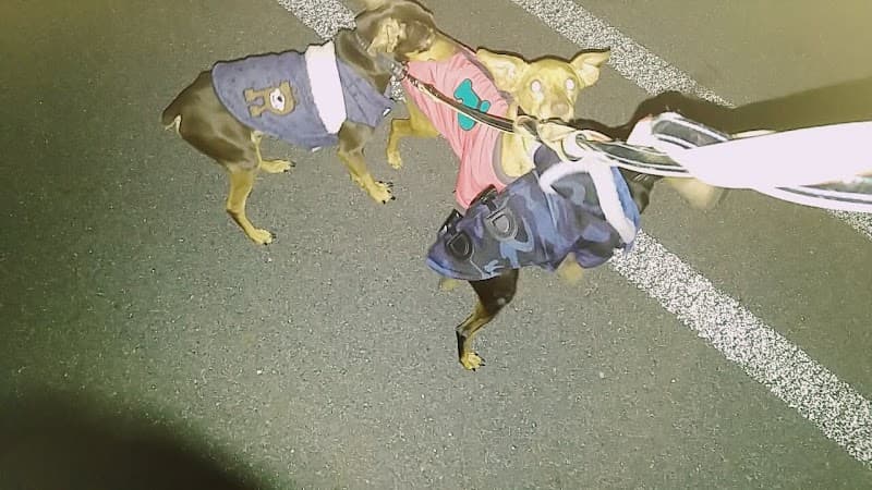 こみなと動物病院