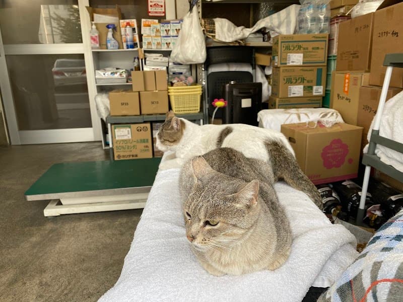 安藤動物病院須賀川