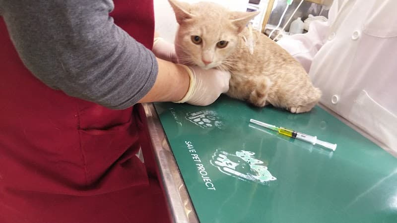 井上動物病院
