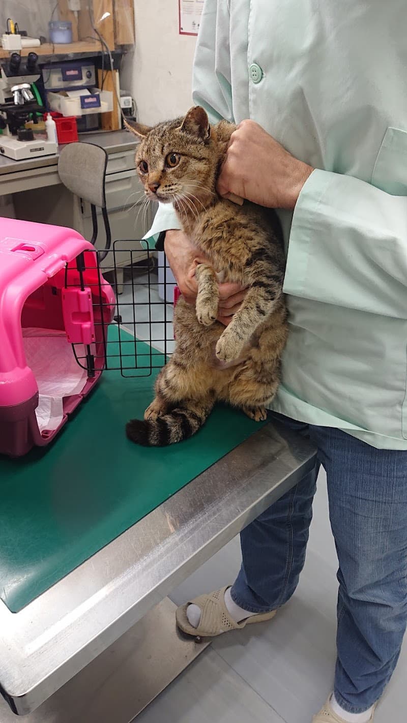 高橋どうぶつクリニック