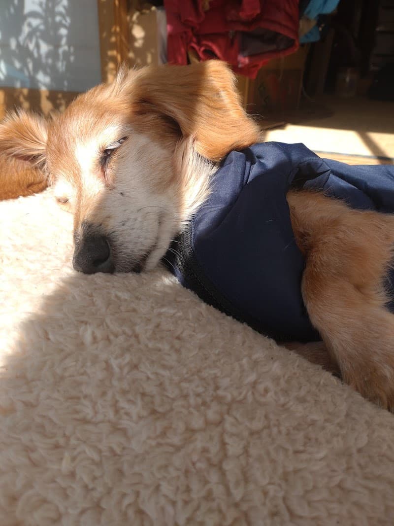 きたかた動物病院