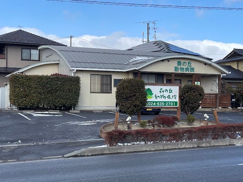 森の丘動物病院