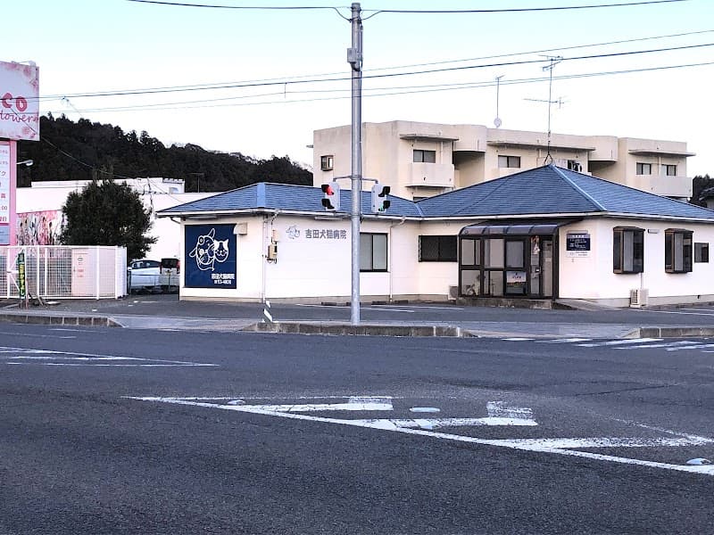 吉田犬猫病院