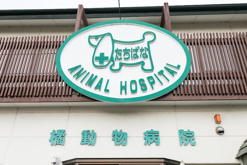 たちばな動物病院