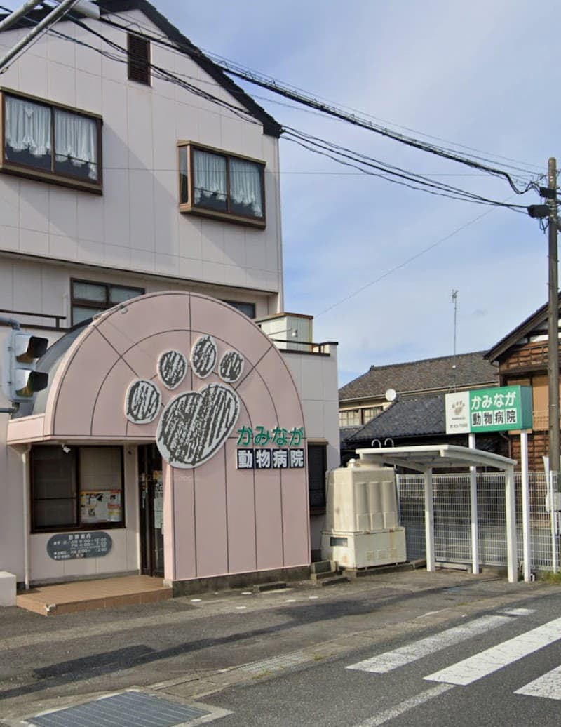 かみなが動物病院