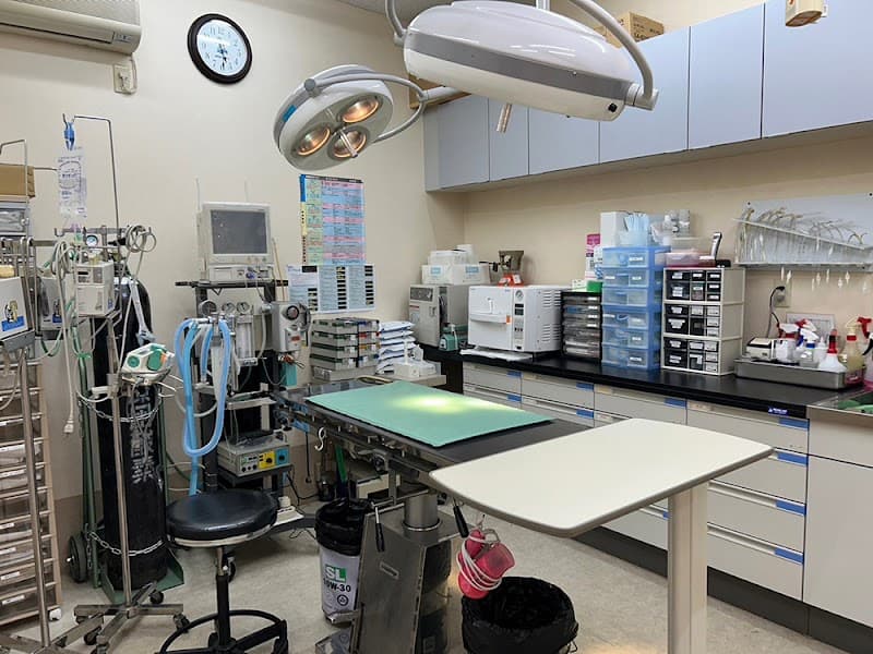 ひたち滑川丘動物病院