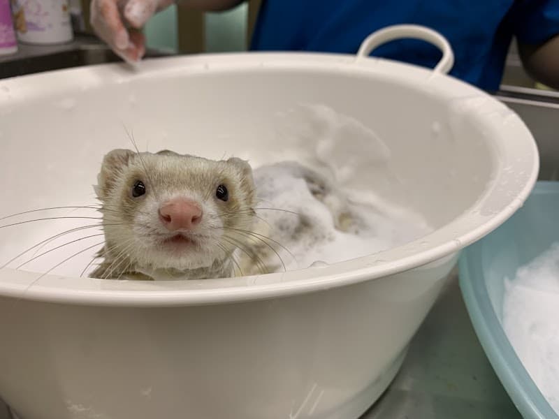 広木アニマルクリニック