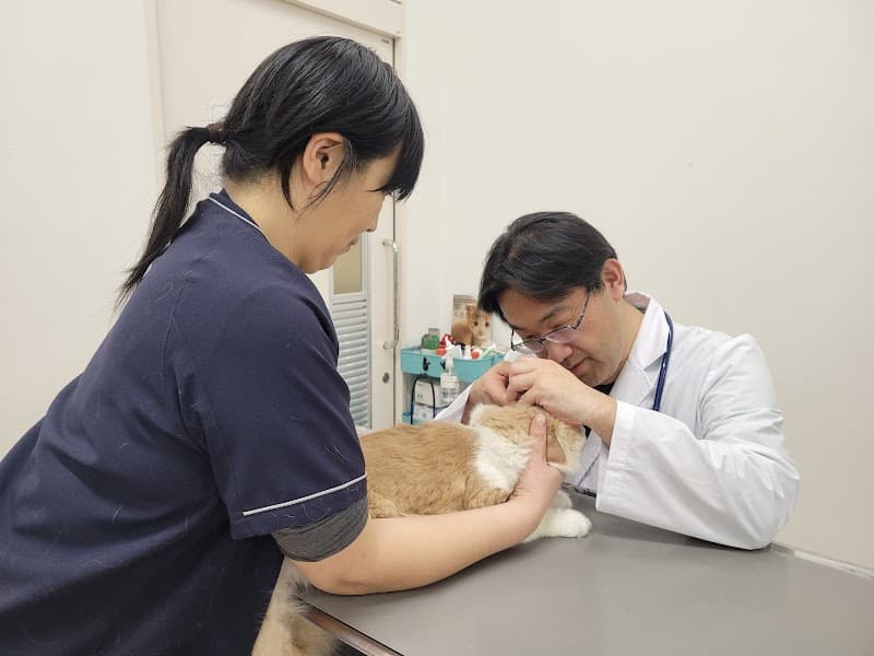学校法人佐山学園付属 アジア動物医療リハビリテーションセンター