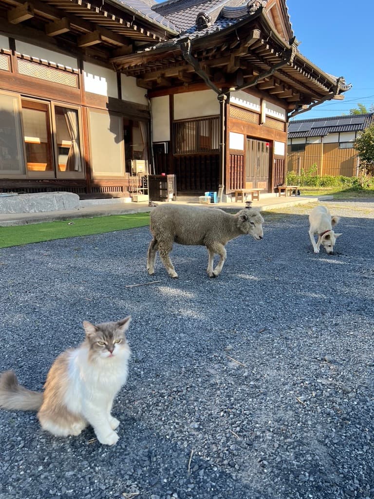 サニーズアニマルクリニック