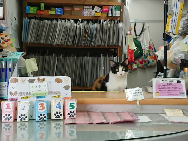 江面ペットクリニック
