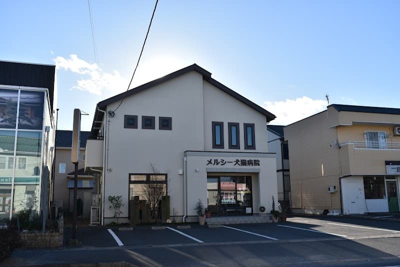 メルシー犬猫病院