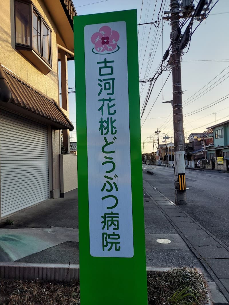 古河花桃どうぶつ病院