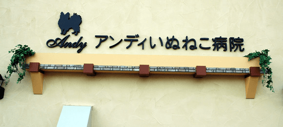 アンディいぬねこ病院