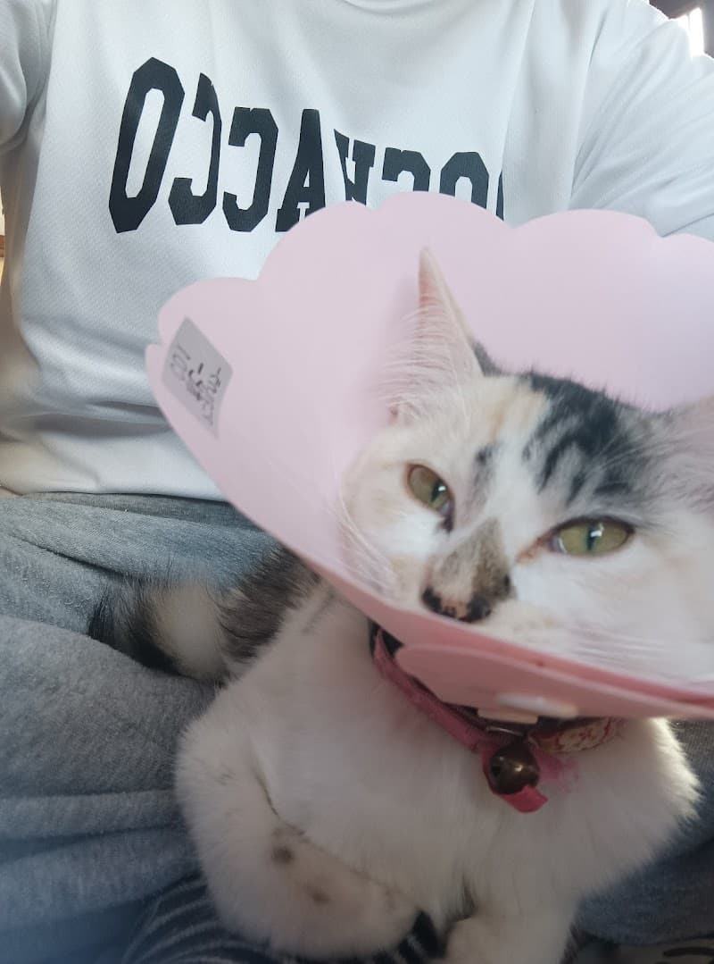 うめ・くりペット診療所