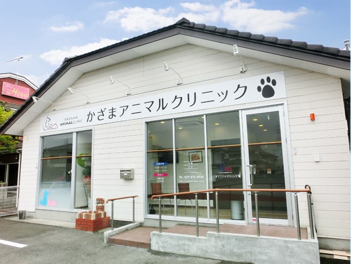 かざまアニマルクリニック