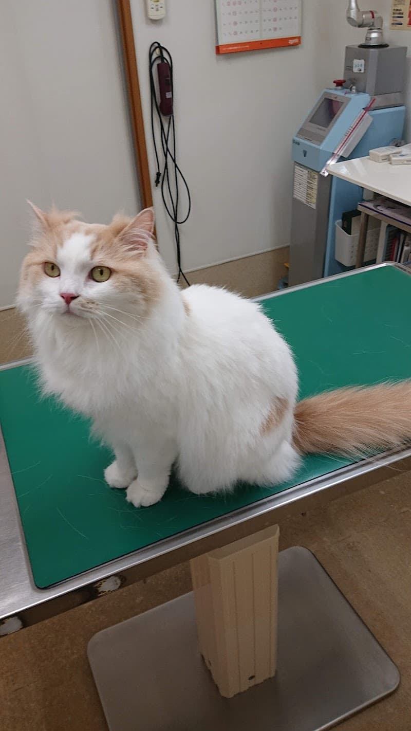 みのり動物病院