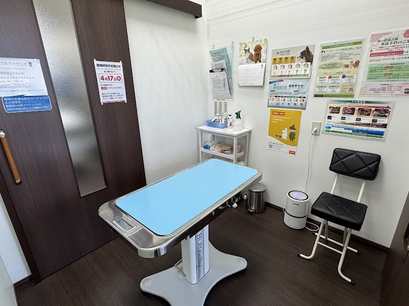 コジマつくば動物病院