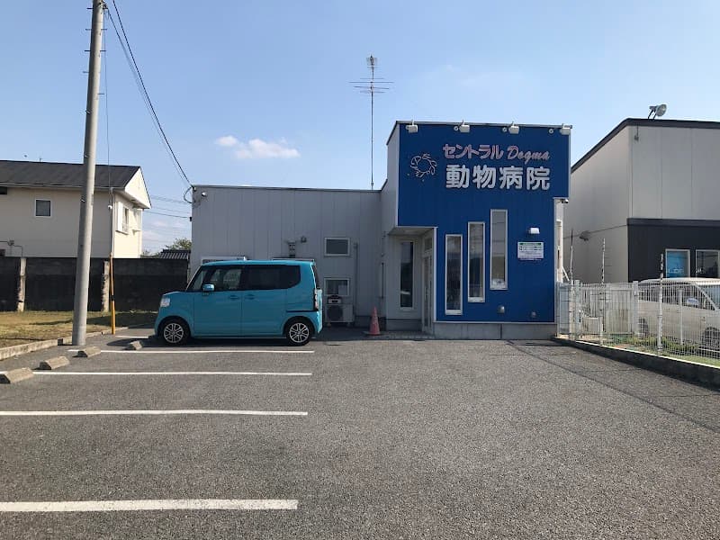 セントラルドグマ動物病院