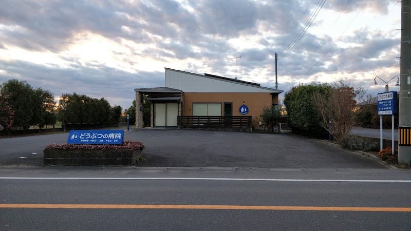 どうぶつの病院